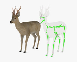Roe Deer Low Poly Rigged 3D model
