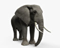Elefanti africani Modello 3D