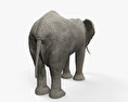 Elefanti africani Modello 3D