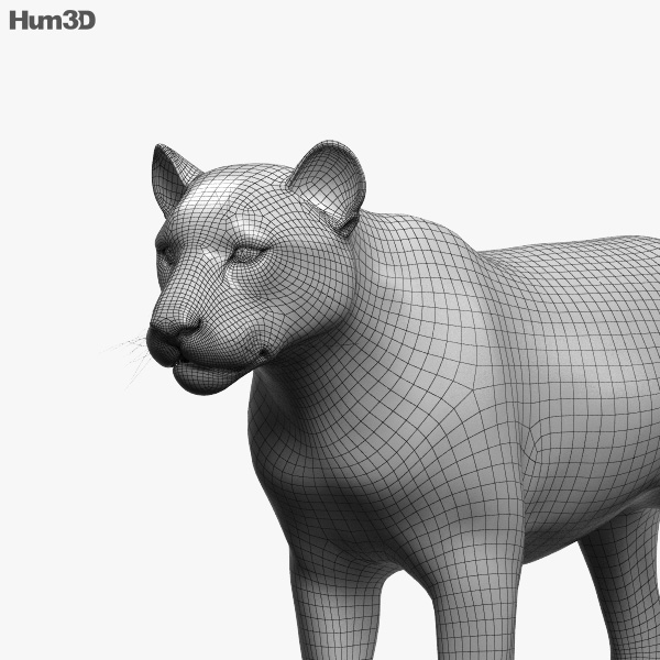 Animated Tiger 3D model - Animals on Hum3D