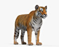 Тигр 3D модель