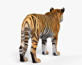 老虎 3D模型