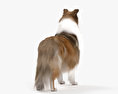 Cane da pastore scozzese a pelo lungo Modello 3D