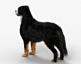 Bernese Mountain Dog HD 3d model