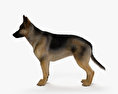 Cane da pastore tedesco Modello 3D