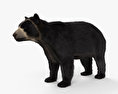 Spectacled Bear 3d model