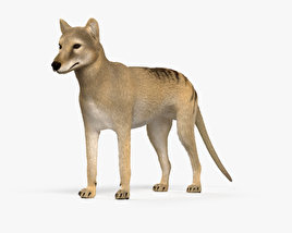 Beutelwolf 3D-Modell