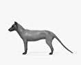Thylacine HD 3d model