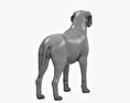 Labrador retriever Modelo 3d