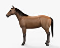 Кінь 3D модель