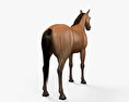 Horse HD 3d model