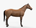 Horse HD 3d model
