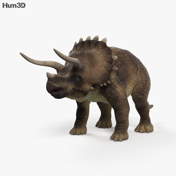 Triceratops HD 3D model
