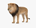 Lion HD 3d model
