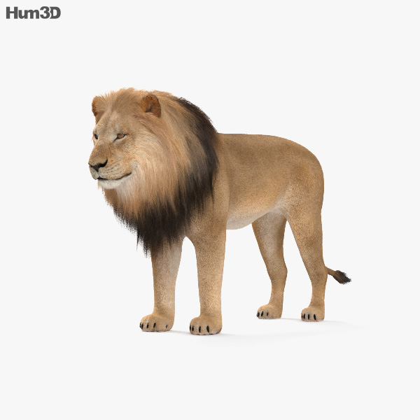 Animals 3D models for Download - Hum3D