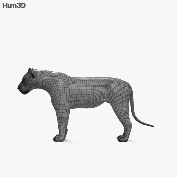 Animated Lion 3D model - Animals on Hum3D