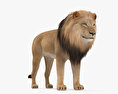 Lion HD 3d model