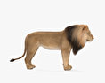 Lion Modèle 3d