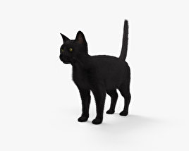 Gato negro Modelo 3D