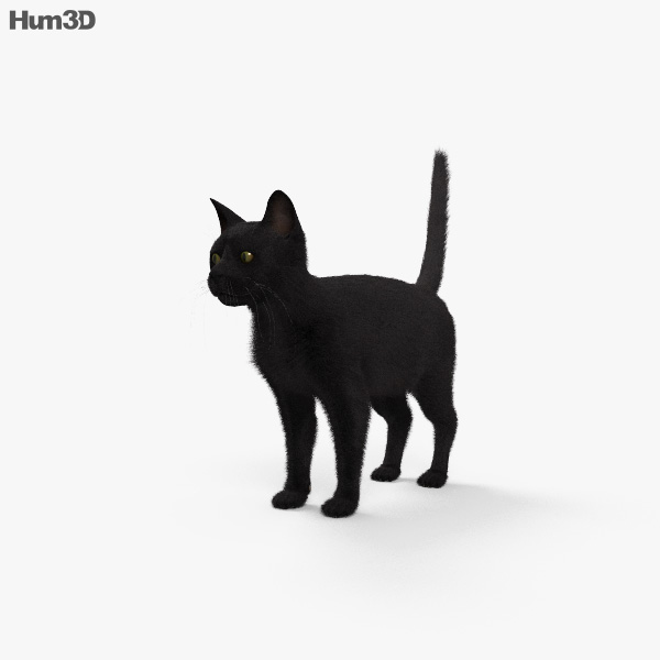 Chat noir Modèle 3D
