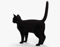 Black Cat HD 3d model