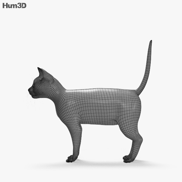 黒猫 3dモデル 動物 On Hum3d