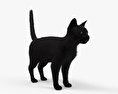 Gatto nero Modello 3D