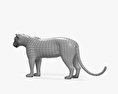Leopardo Modelo 3d