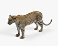 豹 3D模型