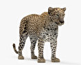 Леопард 3D модель