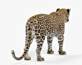 Leopardo Modelo 3d