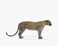 Leopardo Modelo 3d