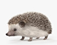 Hedgehog HD 3d model