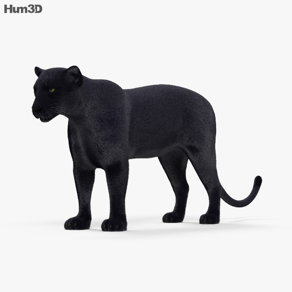 Black Panther HD 3D model