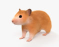 Hamster 3d model