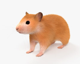 Hamster 3D-Modell