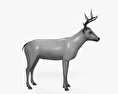 白尾鹿 3D模型