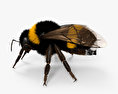 Bumblebee HD 3d model