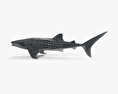 Whale Shark 3d model