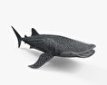 Requin-baleine Modèle 3d
