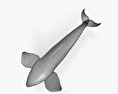 Killer Whale HD 3d model