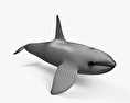 Orca Modello 3D