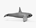 虎鯨 3D模型