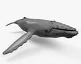 Humpback Whale 3d model