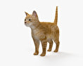 Rote Katze 3D-Modell