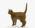 Ginger Cat 3d model