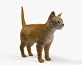 Ginger Cat 3d model
