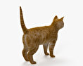 Ginger Cat HD 3d model