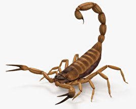 Escorpião Modelo 3d