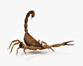 Skorpione 3D-Modell